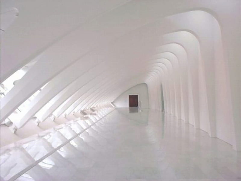 white hallway, hallway, art, museum, white, HD wallpaper