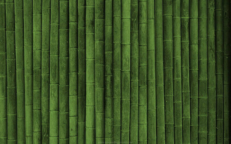 bambusoideae sticks, macro, vertical bamboo texture, bamboo textures, bamboo canes, bamboo sticks, green wooden background, bamboo, HD wallpaper