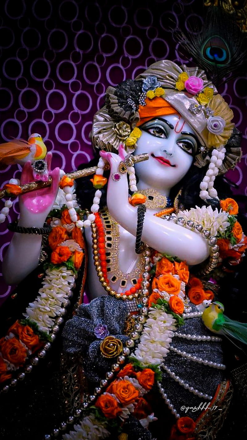 HINDU GOD - SHREE KRISHNA, hindu god, holy, HD phone wallpaper | Peakpx