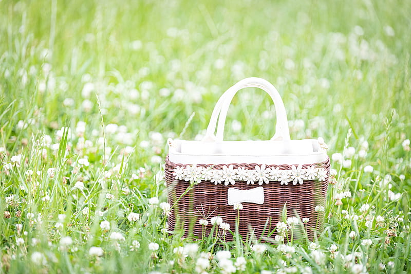 basket, flowers, grass, field, meadow, HD wallpaper