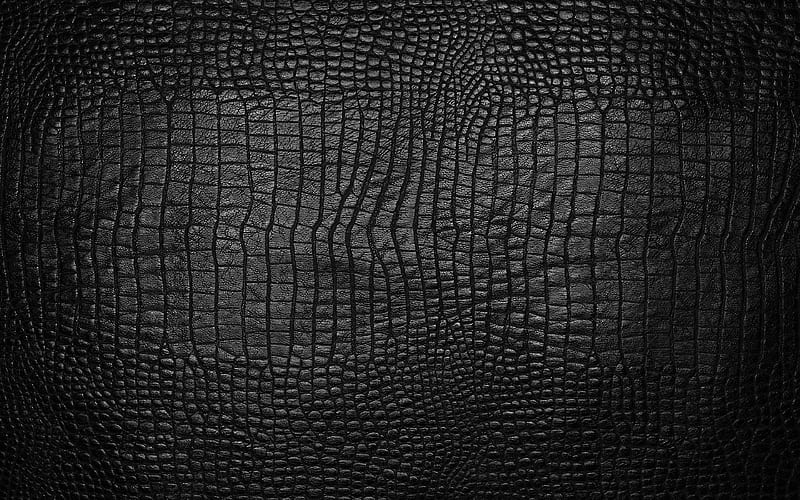 black crocodile skin reptile skin, black leathe texture, crocodile skin textures, black snake, macro, leather backgrounds, crocodile skin, HD wallpaper