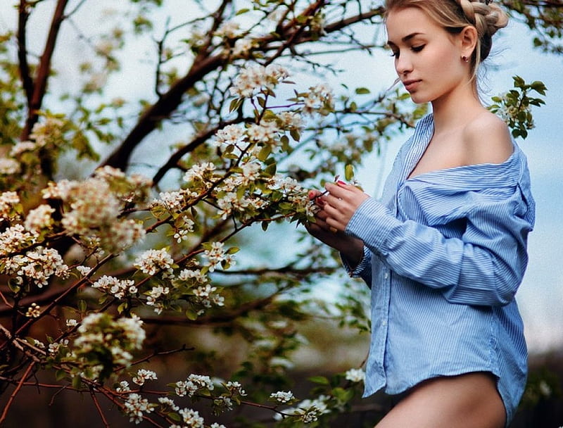 Spring Beauty, shirt, garden, apple trees, girl, HD wallpaper