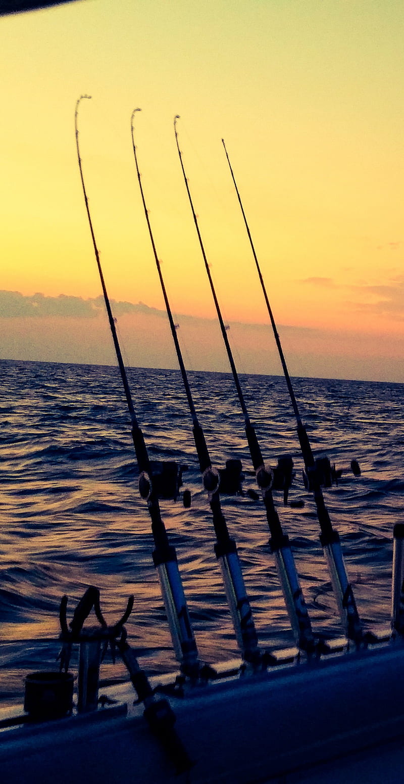 Fishing Rods, deep, fish, fishing, lake, ocean, poles, sea, sun rise, HD phone wallpaper