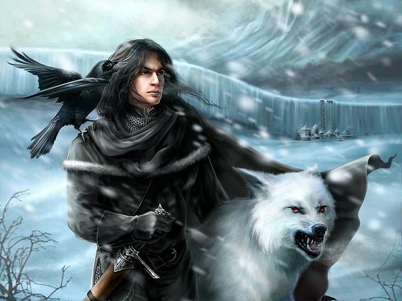 the snow warrior, white wolf, man, crow, HD wallpaper