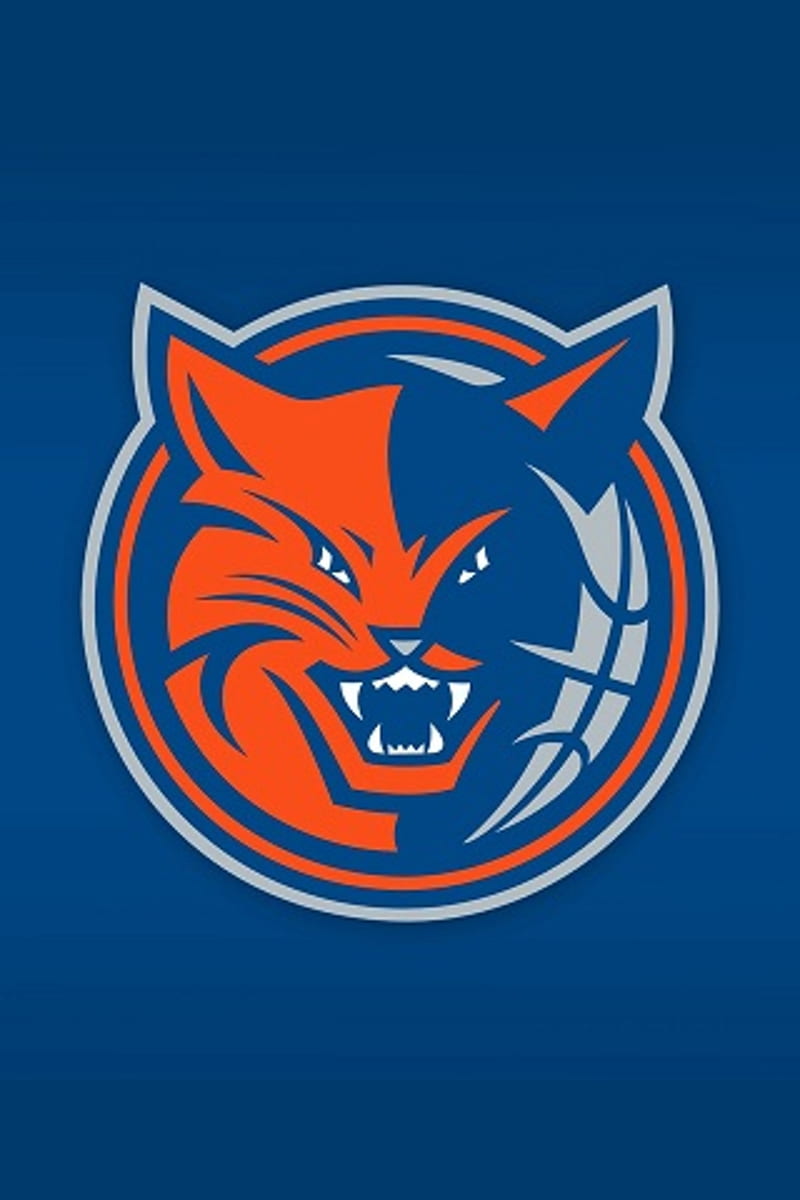 Charlotte Bobcats Logos, HD phone wallpaper