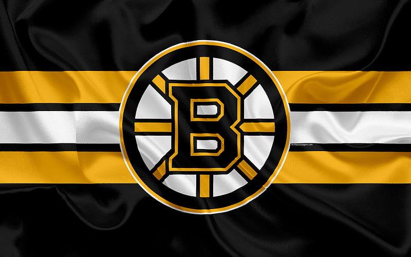 Boston Bruins, bruins, flag, hockey, logo, nhl, sport, HD wallpaper