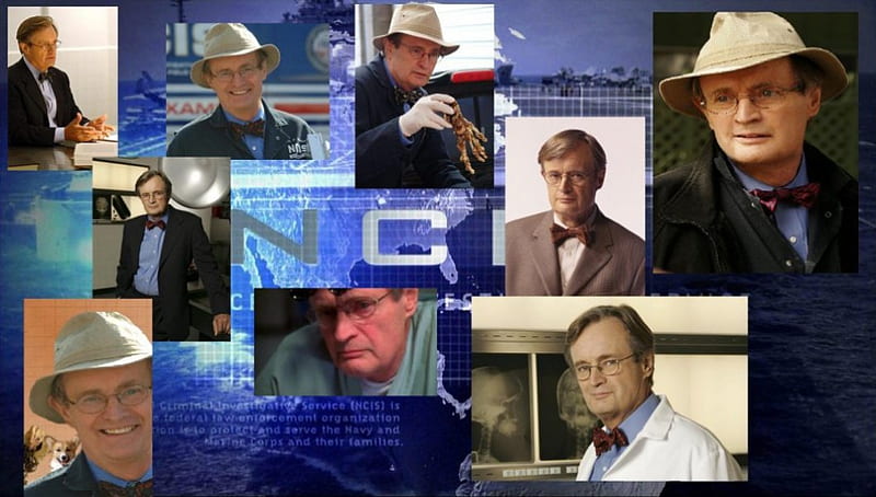 NCIS. Dr. Ducky, ncis, dr ducky mallard, HD wallpaper