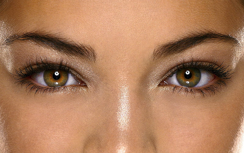 Who do You Think It Is?, nose, eyes, brown, eyebrows, HD wallpaper