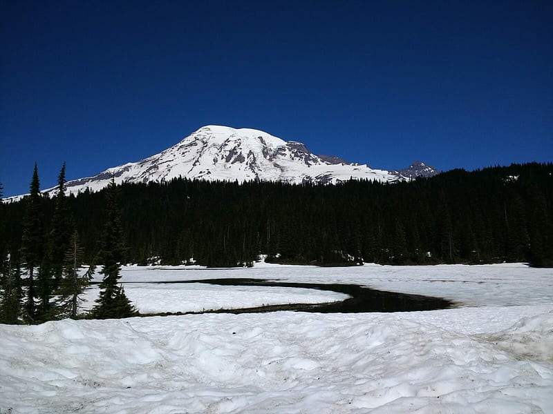 Snowshoe Mt Rainier National Park: Winter and Spring Adventure Guide - Ordinary Adventures, Mount Rainier Winter, HD wallpaper