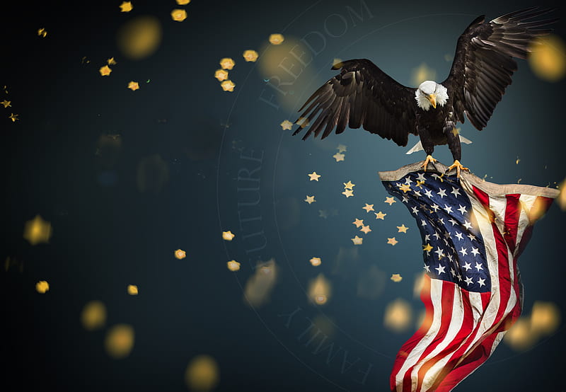 America in 1 , eagle, flag, godbless, hope, merica, HD wallpaper