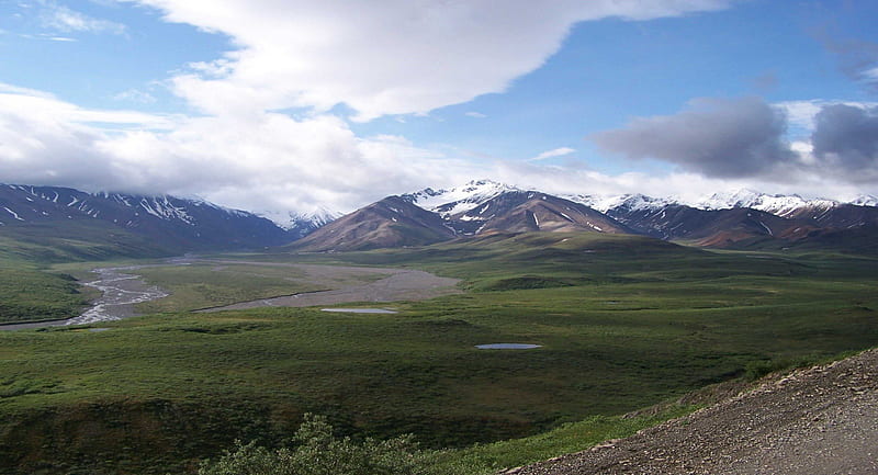Denali National Park, Alaska, grass, alaska, national, park, denali, sky, clouds, green, mountains, nature, field, landscape, HD wallpaper
