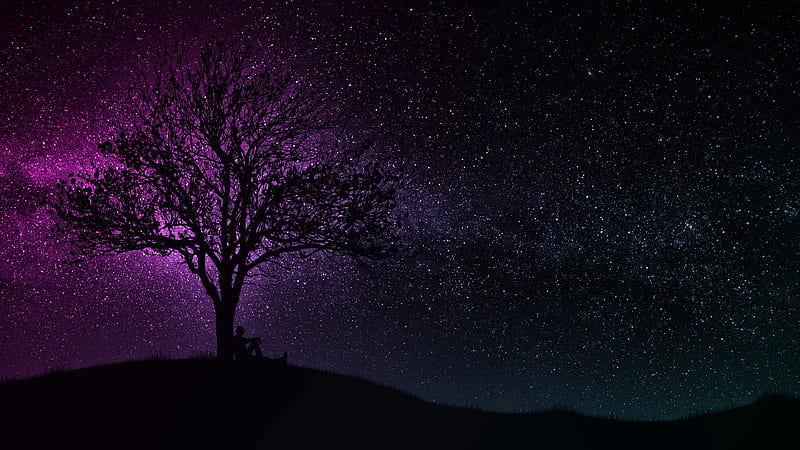 tree, silhouette, starry sky, dark, art, HD wallpaper
