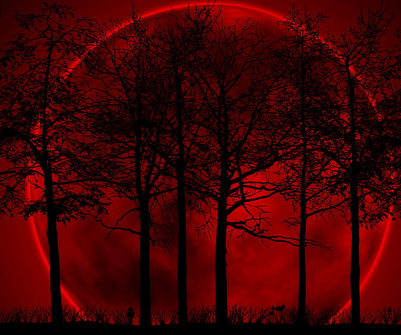 Red Forest, blood moon, earth, moon, sky, HD wallpaper