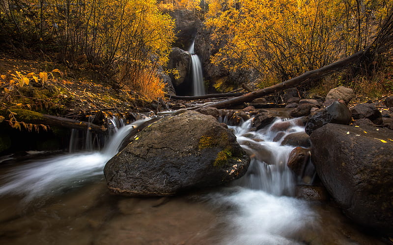 waterfall, autumn, yellow trees, yellow leaves, autumn landscape, river, beautiful waterfall, HD wallpaper