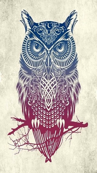 Owl design, 2017, animal, art, celtic, color, cool, new, HD phone wallpaper  | Peakpx