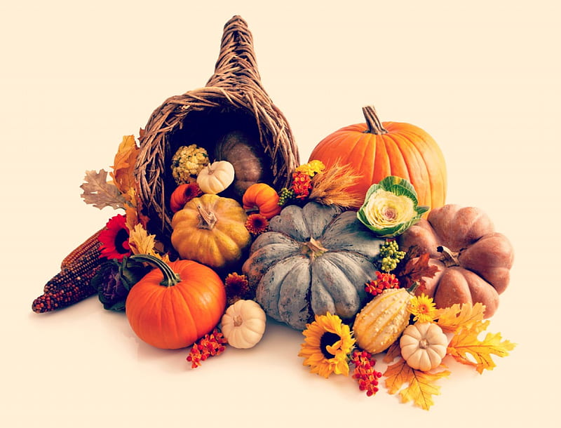 Autumn Harvest, corn, Fall, harvest, squash, horn of plenty, leaves, Thanksgiving, sunflowers, cornucopia, berries, flowers, Autumn, pumpkins, HD wallpaper