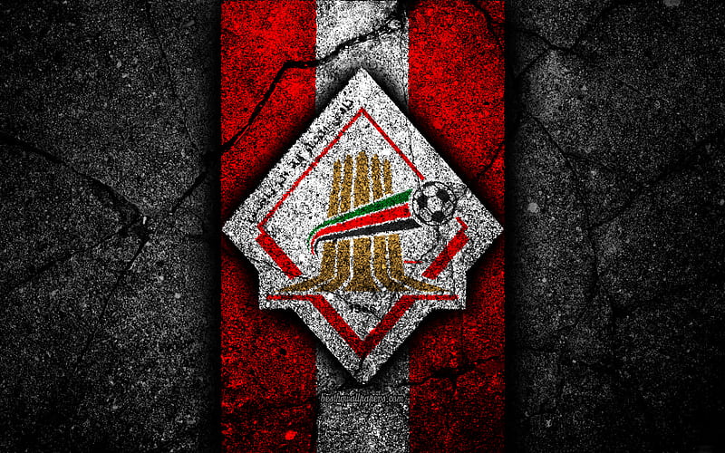 Al Sharjah FC, emblem, UAE League, soccer, football club, UAE, logo, Al Sharjah, creative, asphalt texture, FC Al Sharjah, HD wallpaper