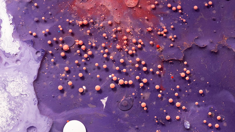 Purple Orange Balls Paint Liquid Abstract, HD wallpaper