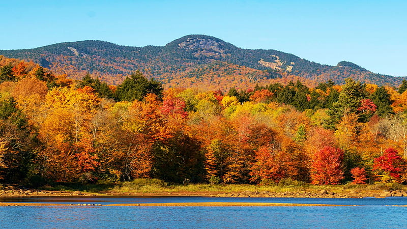 Adirondack Foliage along the Shores of Indian Lake, NY, hills, Forest, fall, landscape, trees, colors, usa, lake, HD wallpaper