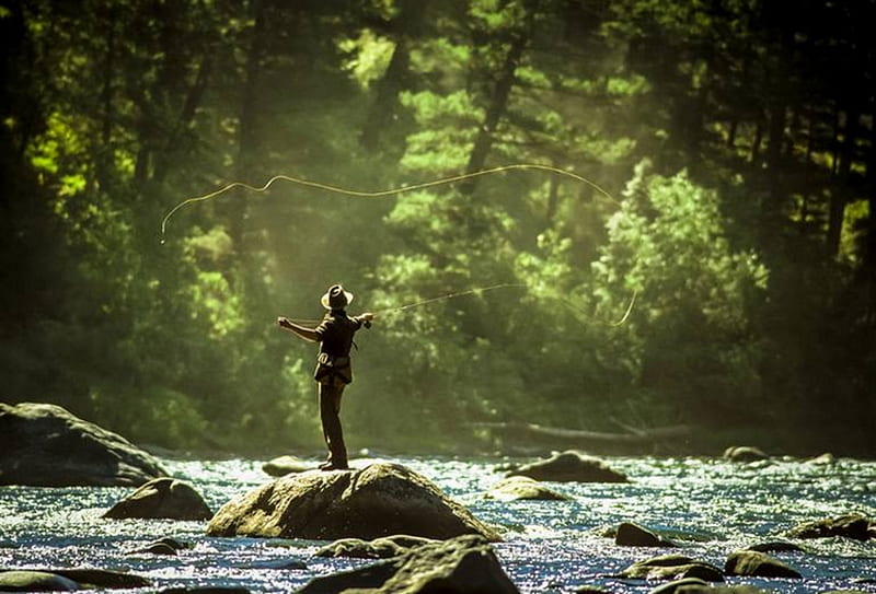 Fisherman, Fish, Rivers, Nature, Brad Pitt, HD wallpaper