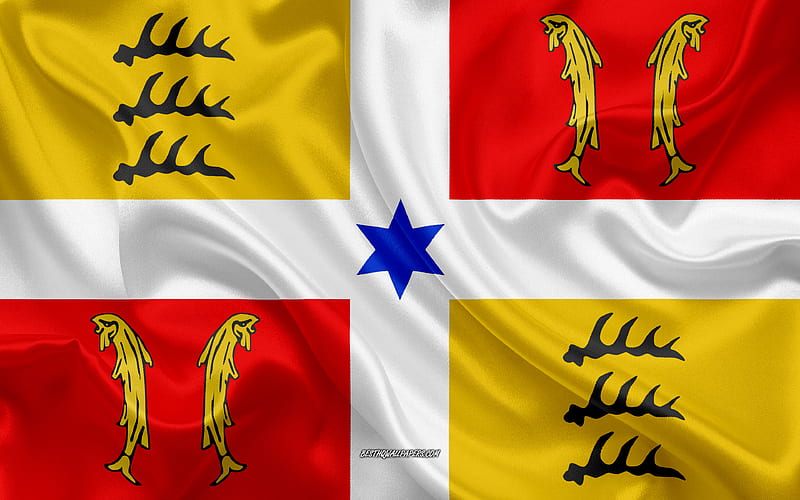 Flag of Montbeliard French region, silk flag, regions of France, silk texture, Montbeliard flag, creative art, Montbeliard, France, HD wallpaper