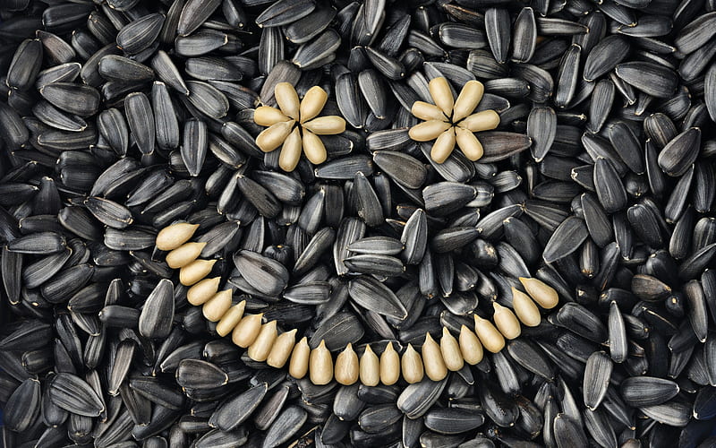 smile concepts, good mood, smile, sunflower seeds texture, black sunflower seeds, HD wallpaper