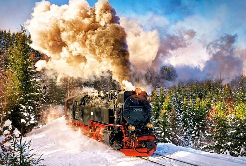 Winter Steam, locomotive, train, snow, steamtrain, firs, landscape, HD wallpaper