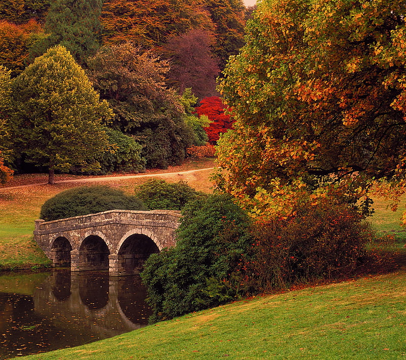 Foliage, autumn, bridge, fall, leaf, leaves, tree, HD wallpaper