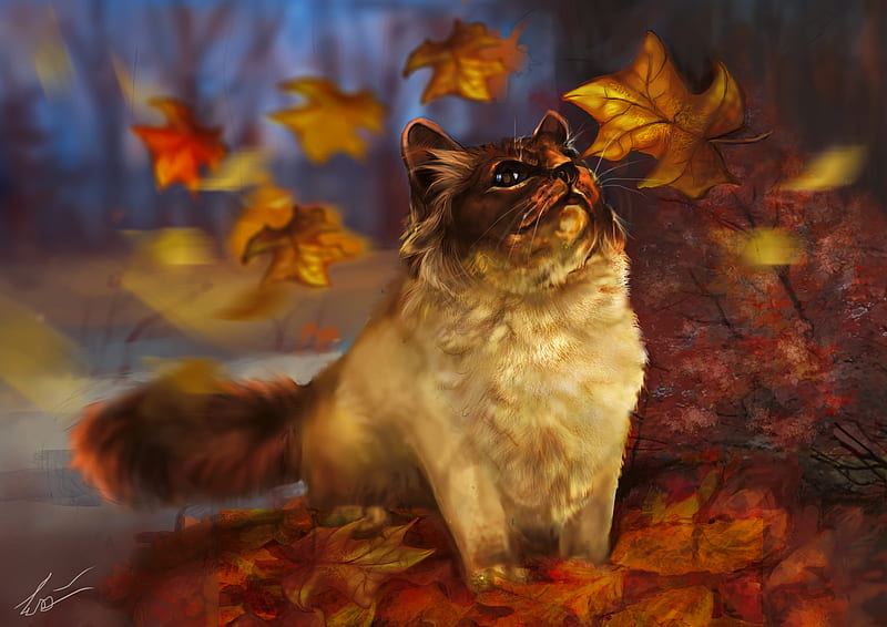 Autumn kitten, forest, fall, art, autumn, kitty, park, trees, cat