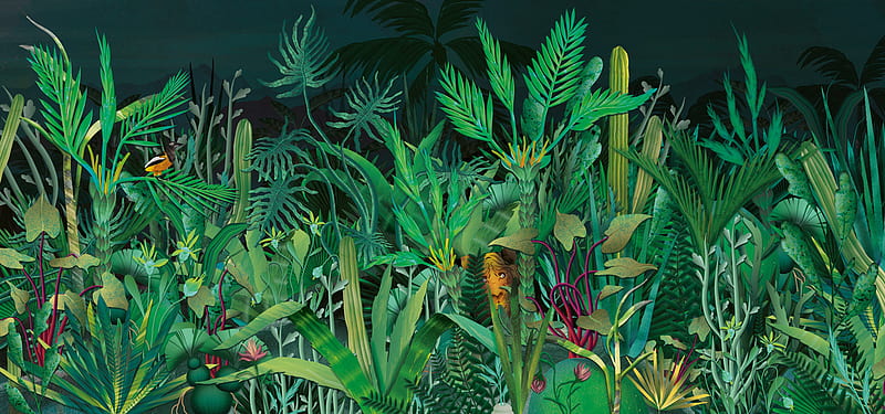 Jungle, Jungle Illustration, HD wallpaper