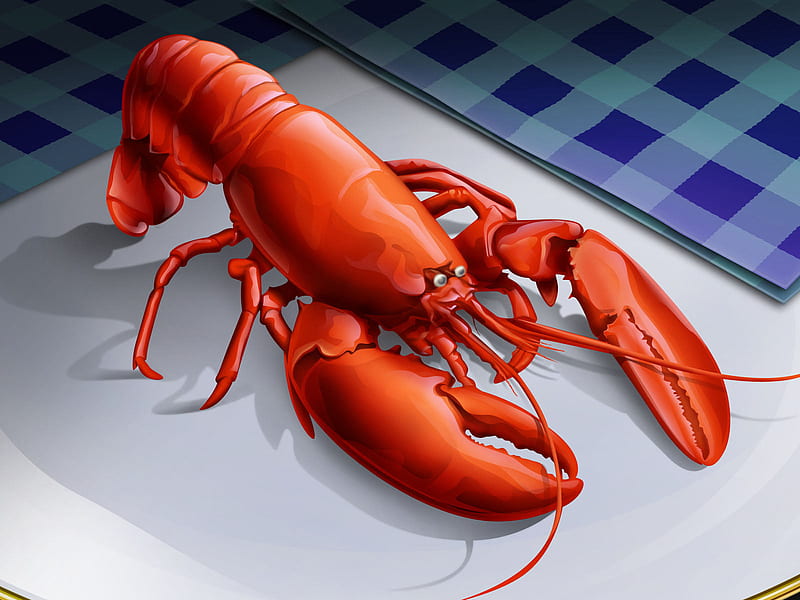 Lobster, food, fish, graphics, comestible, culinary, HD wallpaper