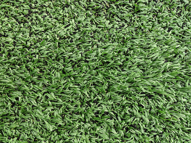 Grass, turf, outside, HD wallpaper