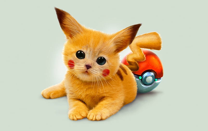 Pokemon Kawaii cat