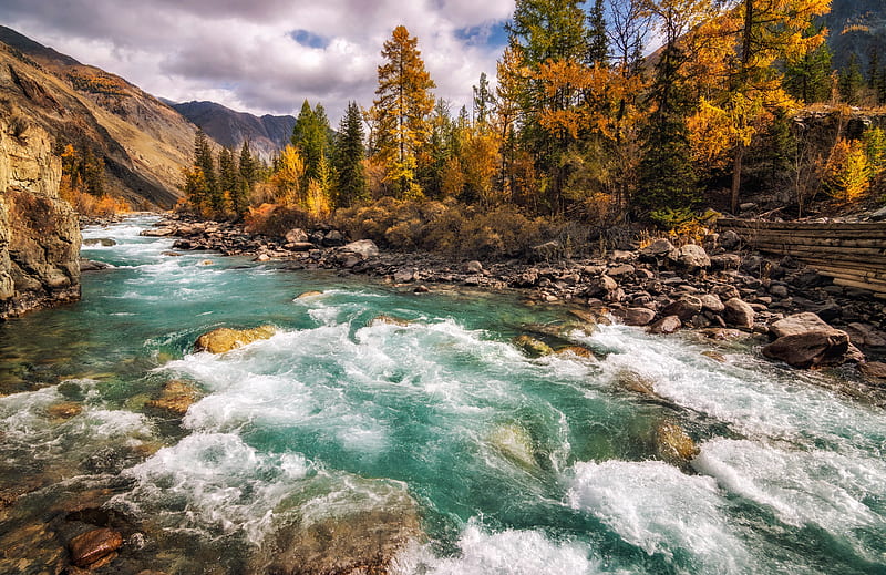 Earth, River, Nature, HD wallpaper | Peakpx