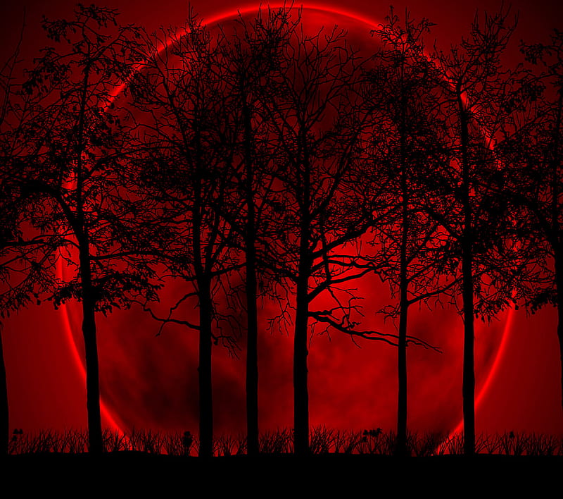 Red Nature, HD wallpaper