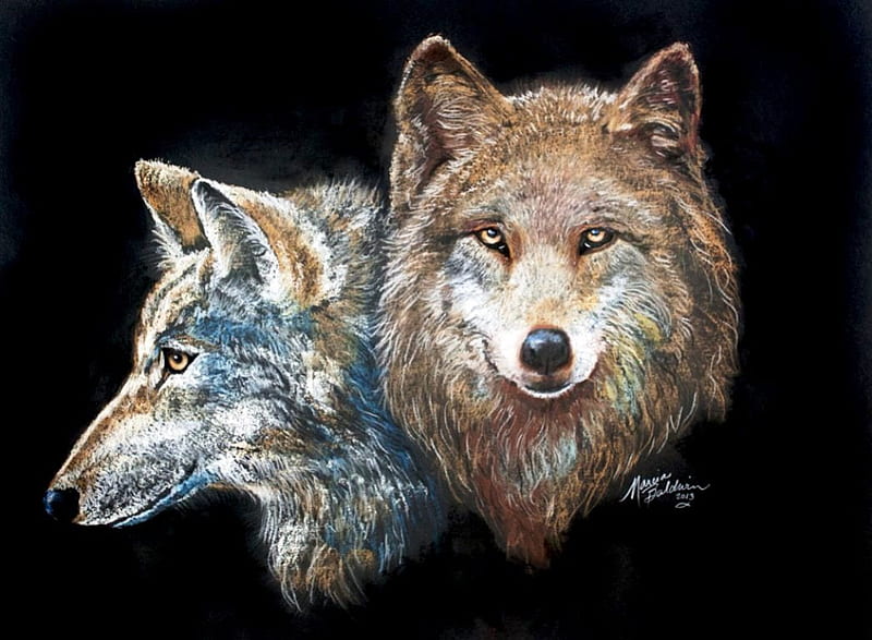 Wolves in Art, predator, starrng, head, portrait, eyes, artwork, HD ...