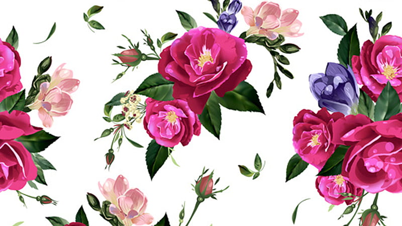 HD rose vector wallpapers | Peakpx