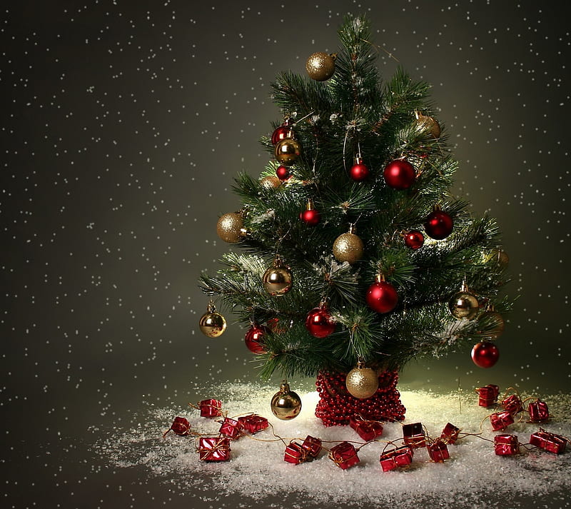 christmas treee, christmas tree, merry christmas, xmas, HD wallpaper