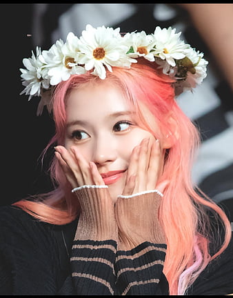 HD sana - moreandmore wallpapers | Peakpx