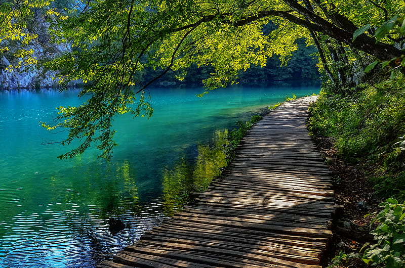 Plitvice lakes - Croatia, path, Croatia, Plitvice, lake, exotic, bonito, tree, tranquil, serenity, summer, walk, HD wallpaper