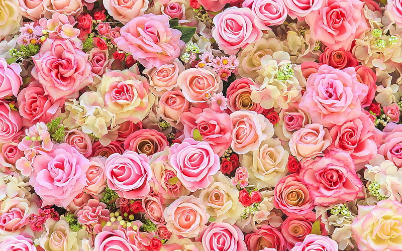 Roses, rose, carpet, trandafir, texture, flower, summer, skin, pink, sskin, HD wallpaper
