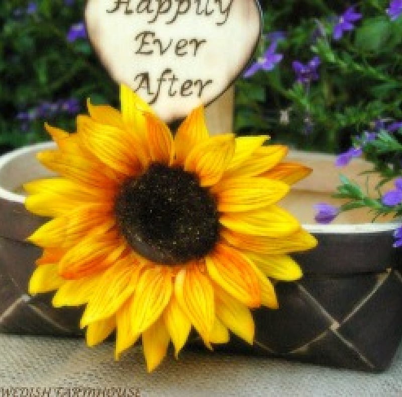 Happily Ever After, wonderful, yellow, green, love, tiny purple flowers, bright, siempre, brilliant, flowers, warm, lovely, fresh, posotive, sunflower, energy, basket, nature, HD wallpaper
