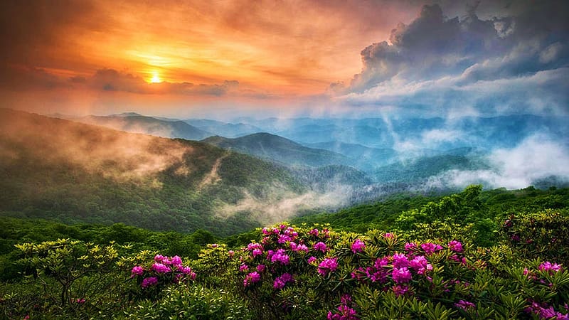 Blue Ridge Parkway in Spring, Appalachian Mountains, North Carolina, usa, flowers, north carolina, mist, sunrise, colors, sky, rocks, HD wallpaper