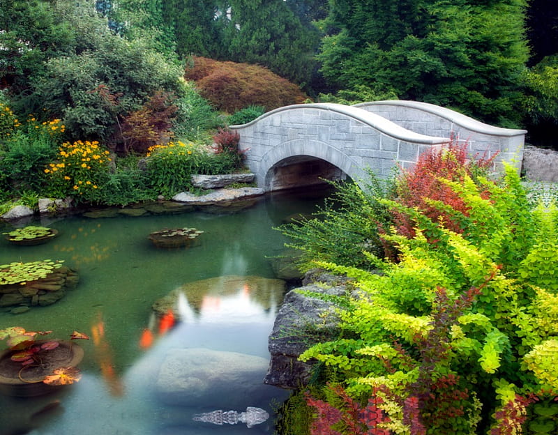 The Wishing Bridge, walking bridge, koi, park, trees, ontario, pond, niagra falls, bridge, plants, HD wallpaper