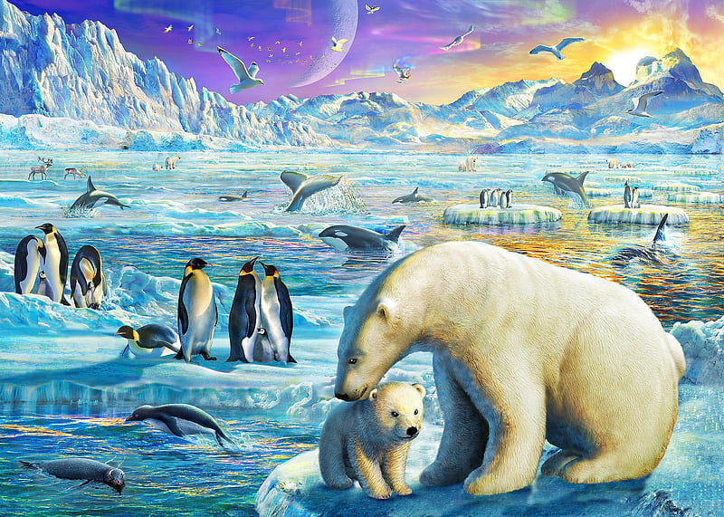 Art Luminos Penguin Winter Antartica Fantasy Adrian Chesterman Cub Hd Wallpaper Peakpx