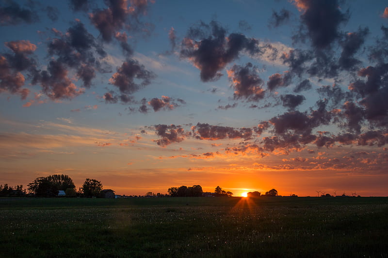 dawn, horizon, field, clouds, morning, grass, sky, HD wallpaper