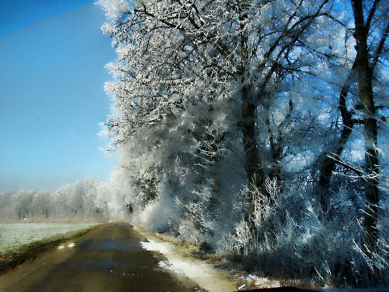 a road in upper bavaria, upper bavaria, road, snow, HD wallpaper