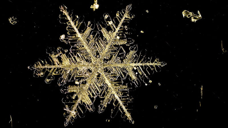 Snowflake under a microscope, nature, snowflake, abstract, snowflakes, HD wallpaper