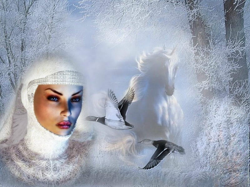 Winter's fantasy, birds, white, trees, unicorn, HD wallpaper | Peakpx