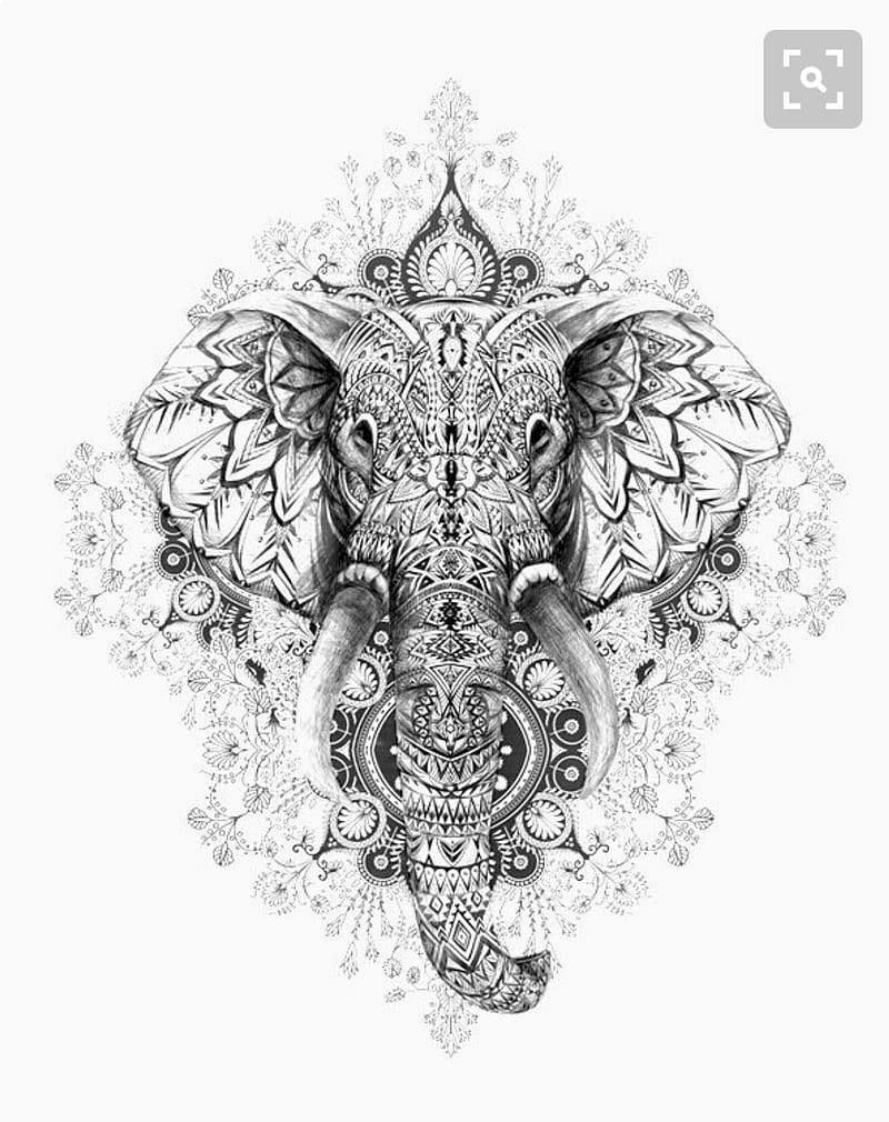 Elefante, art, elephant, HD phone wallpaper
